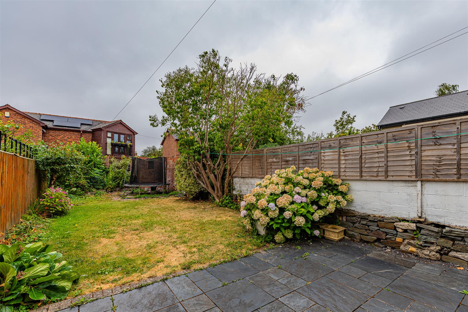 Egerton Street, Canton, Cardiff — photograph 2